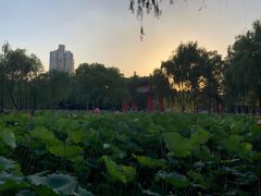 -四川大学(望江校区)