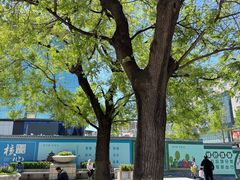 -王府井天主教堂