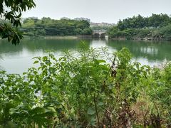 -广东花都湖国家湿地公园