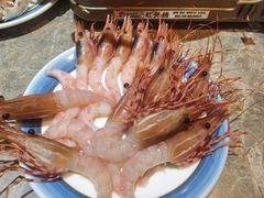 -亚马逊蒸汽活海鲜自助(LCM置汇旭辉广场店)