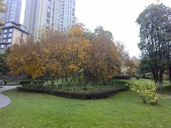 -成都市活水公园