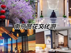-南京金丝利喜来登酒店