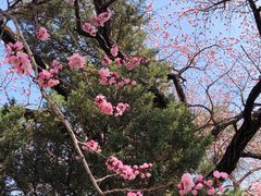 -吉林大学(南岭校区)