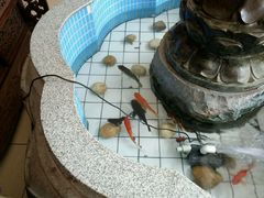 android_upload_pic-长春观斋补堂素菜馆