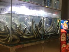 -本炙炭烤·蒲烧活鳗料理店(金沙洲店)