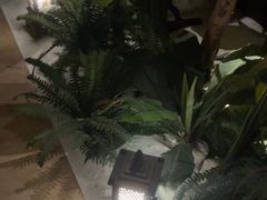 -紫莲花足道(柯桥古镇店)