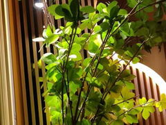 -鹤祥宫·影院足道·SPA连锁(鸿尊布吉店)