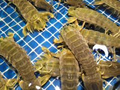 -三亚火车头万人海鲜广场