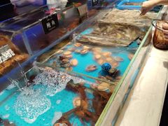 -加餐海鲜自助(宝龙一城店)