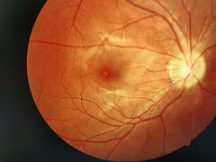 -宝岛眼镜(苏州浒关店)