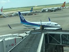 -全日本空输株式会社(上海办事处)