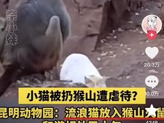 -昆明动物园