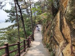 -羚羊峡古栈道森林公园