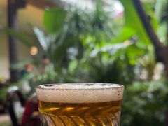 -菌自由丨野生菌火锅特色庭院餐厅(丽江古城店)