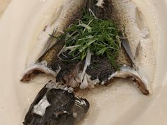 -稻香酒家·34年老字号·港式粤菜(侨光店)