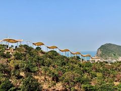 -东澳岛