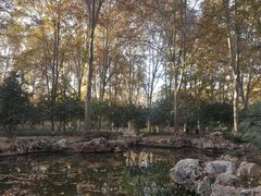 -河南省黄河迎宾馆