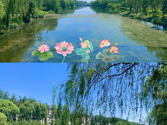 -马家湾湿地公园