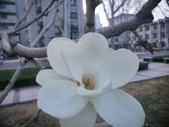 -山东大学(兴隆山校区)