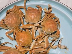 -嗨辣小聚·盘锦河蟹·海鲜烧烤龙虾(盘锦十年好店)