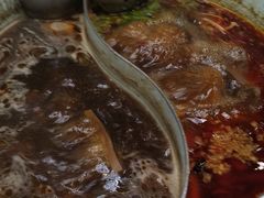 -青瓷火锅料理(西单大悦城店)