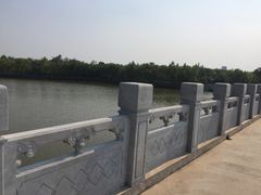 -塘沽森林公园