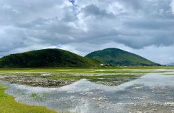 -纳帕海依拉草原