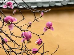 -龙游石窟