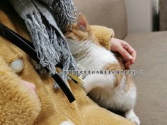 -正宗简阳羊肉汤(荣盛·布鲁明顿广场店)