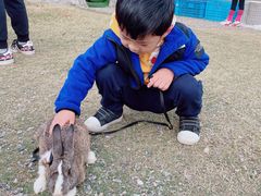 -前小桔亲子创意农场·草莓采摘·露营烧烤