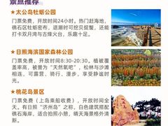 -日照灯塔风景区