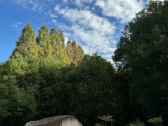 -同里国家湿地公园