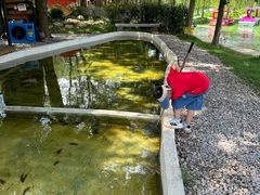 -军山湖云水间生态农业旅游景区