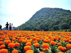 -广州市石门国家森林公园