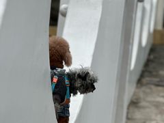 -艾贝尔宠物医院 ·内科全科(梁溪路店)