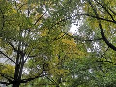 -四川大学(华西校区)