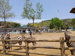 -大连森林动物园