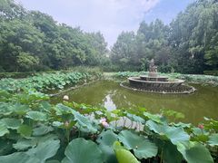 -潇湘甲鱼村(清河店)