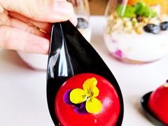 -Terra Rossa(陆家嘴中心店)