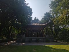 -汇龙潭
