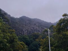 -梧桐山风景名胜区