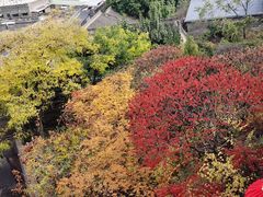 -山西王家大院