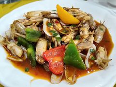 炒蛏子-民丰饭店(海丰黄江医院西)