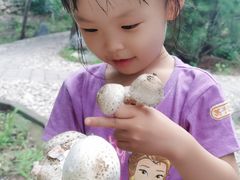 -阳台山自然风景区