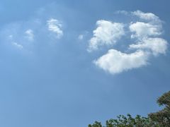 -洪家楼教堂