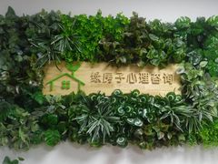 -绿房子心理咨询