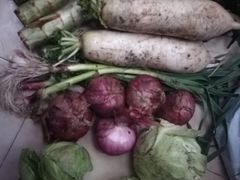 -场中路2401弄小区