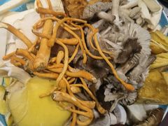 -菌之家·专业纯野生菌火锅·特色炒菌