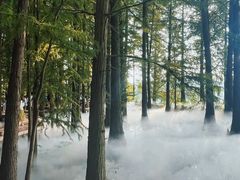 -东湖落雁景区