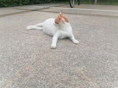 -长安大学(北校区)